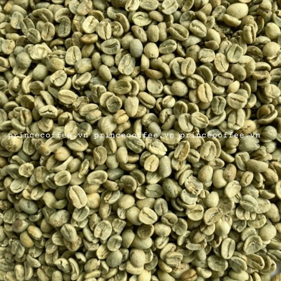  Оптовая продажа из Вьетнама кофейные зерна Arabica Robusta зеленые высококачественные зерна-Сырые Зерна