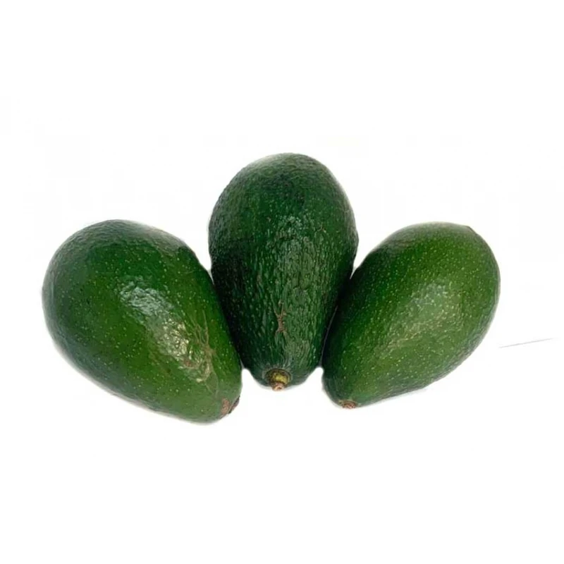 
FRESH AVOCADO 