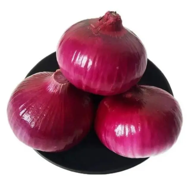 Hot Sales Quality Fresh Red Onion Available For Wholesale Buyers