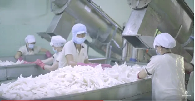 High Quality Bulk price Desiccated Coconut Medium Grade High Fat desiccated coconut powder made in Vietnam