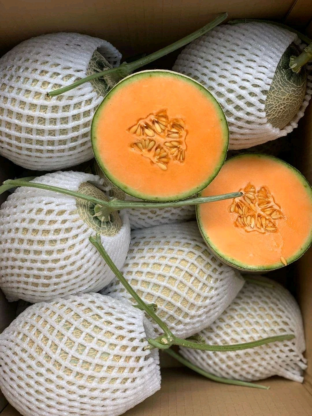 Богатый витамин, подходит для здоровья, 100% натуральная свежая Мускусная Дыня премиум-класса, размер 1,0-2,0 кг, высокое качество, Лучшая цена