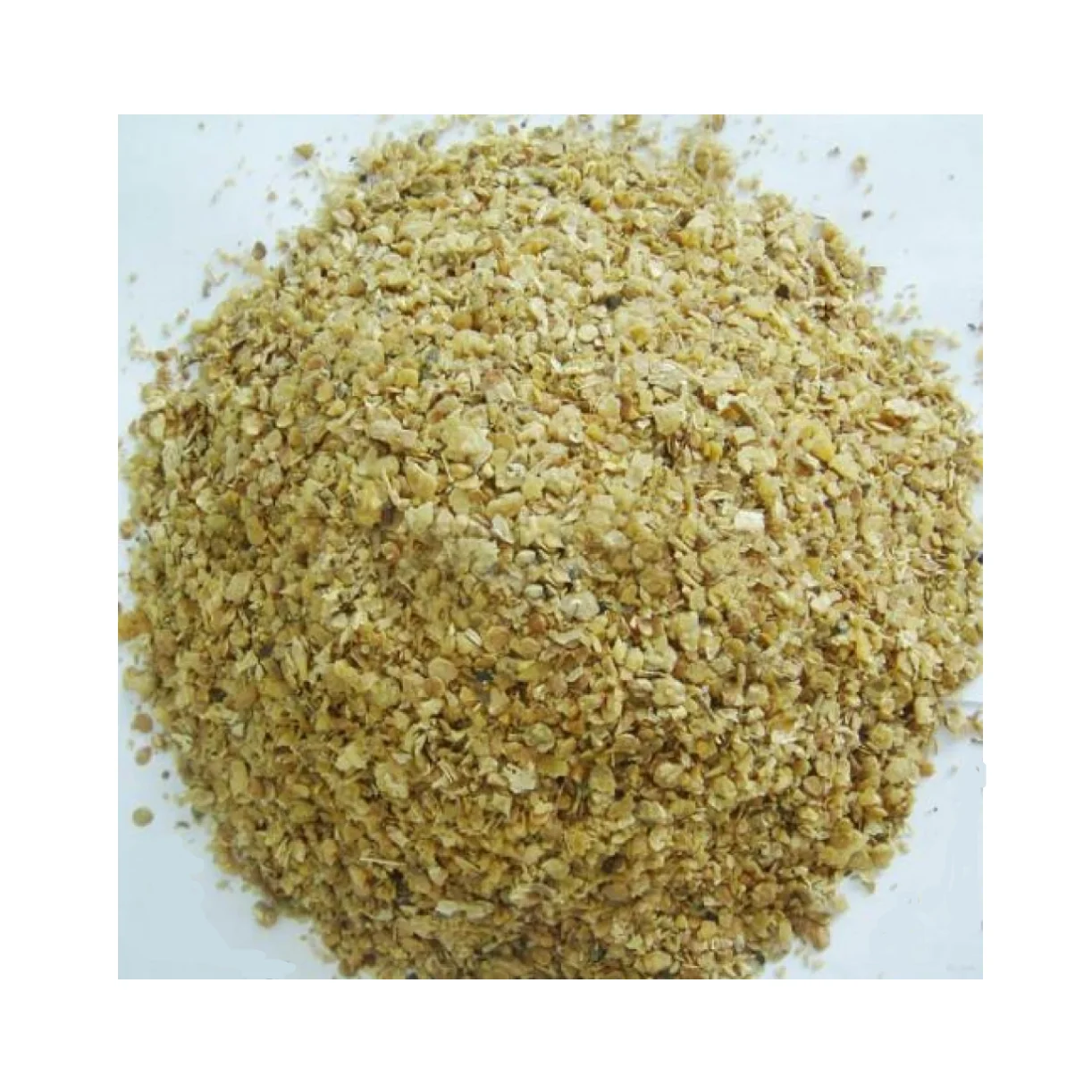Soybean/Soy Bean/Soybean Meal Hot Sales Animal Food Soya Bean Grain Meal for Animal Feed High Protein Bangladesh Supplier