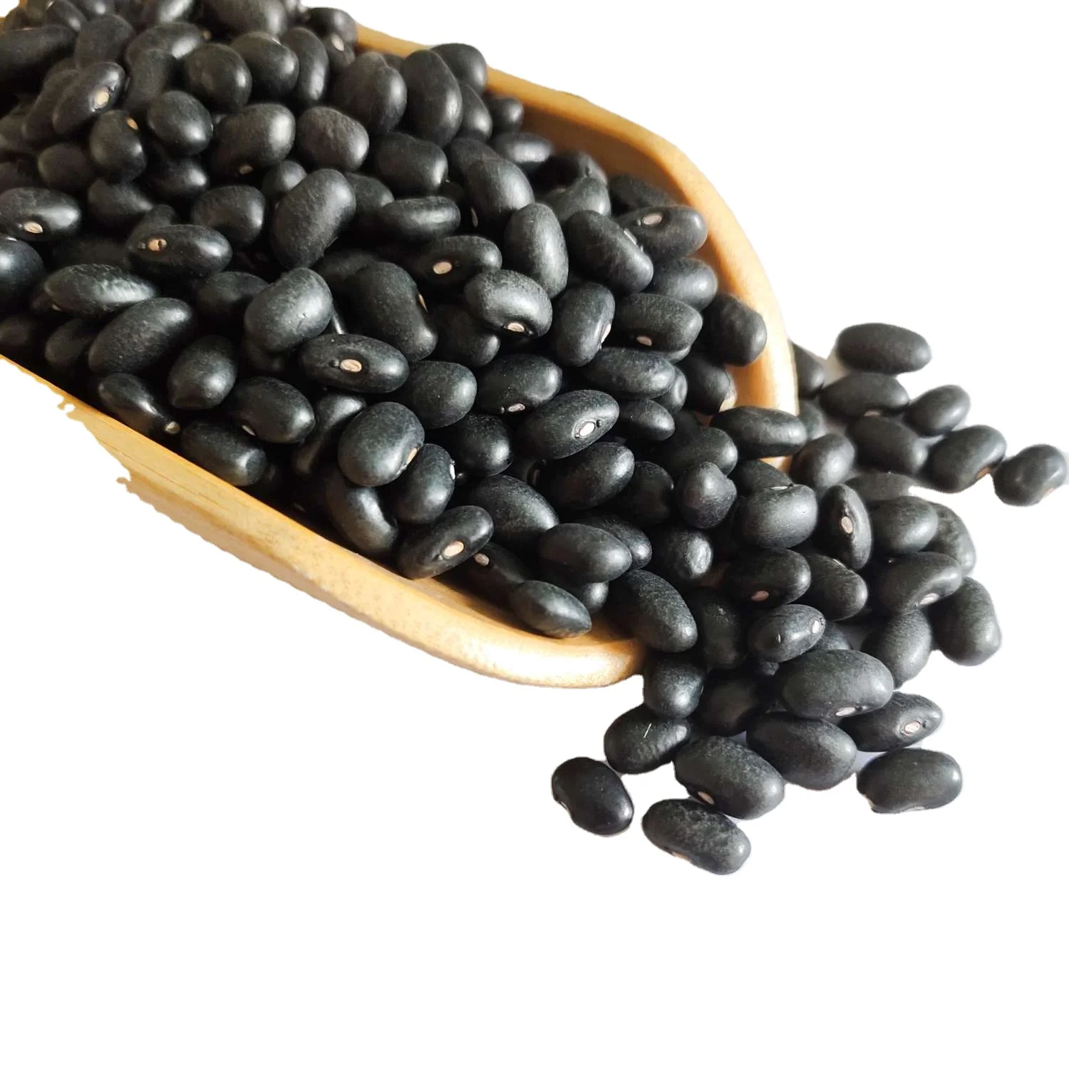 Dried Black Kidney Beans available for wholesale price
