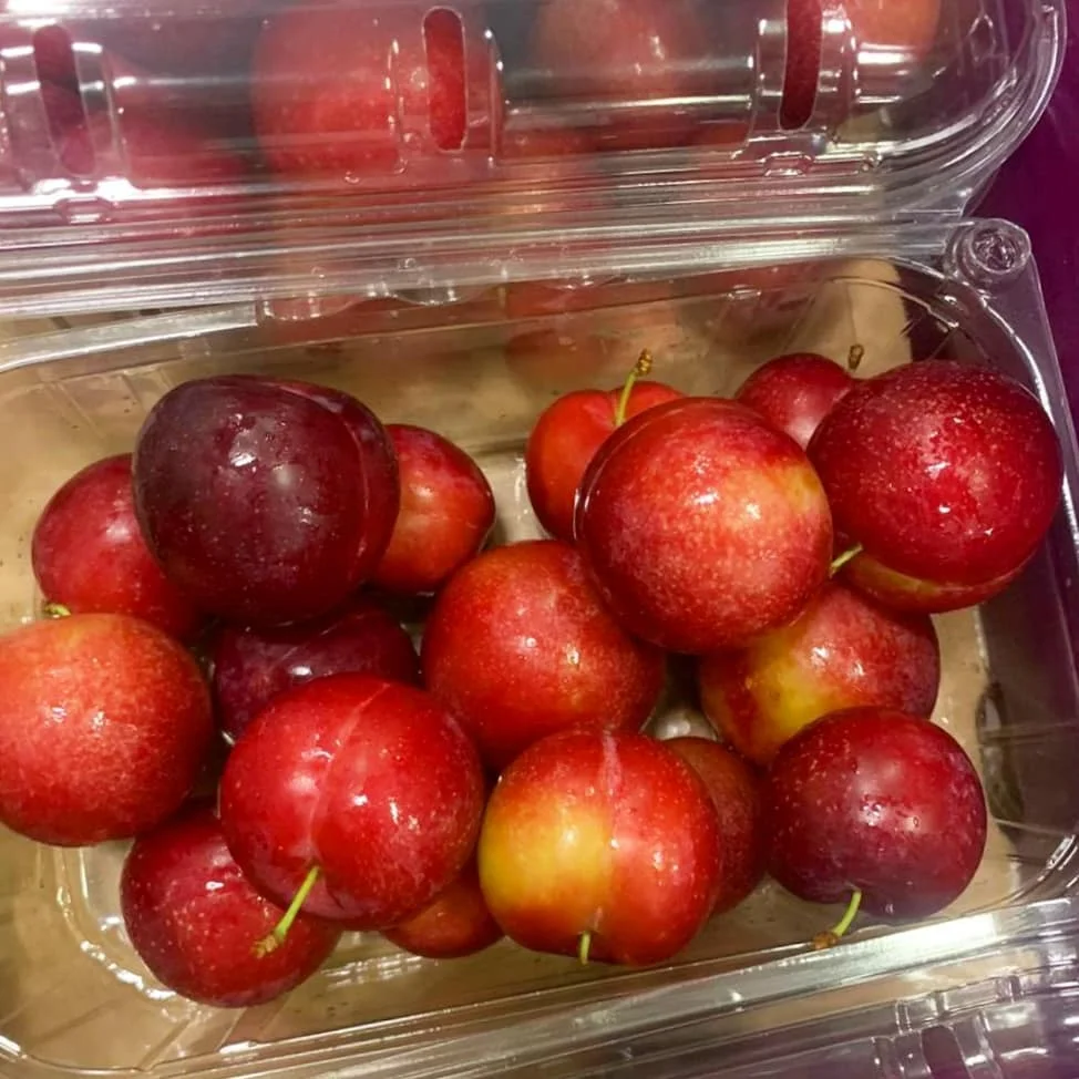 
fresh plums plum black president plum 