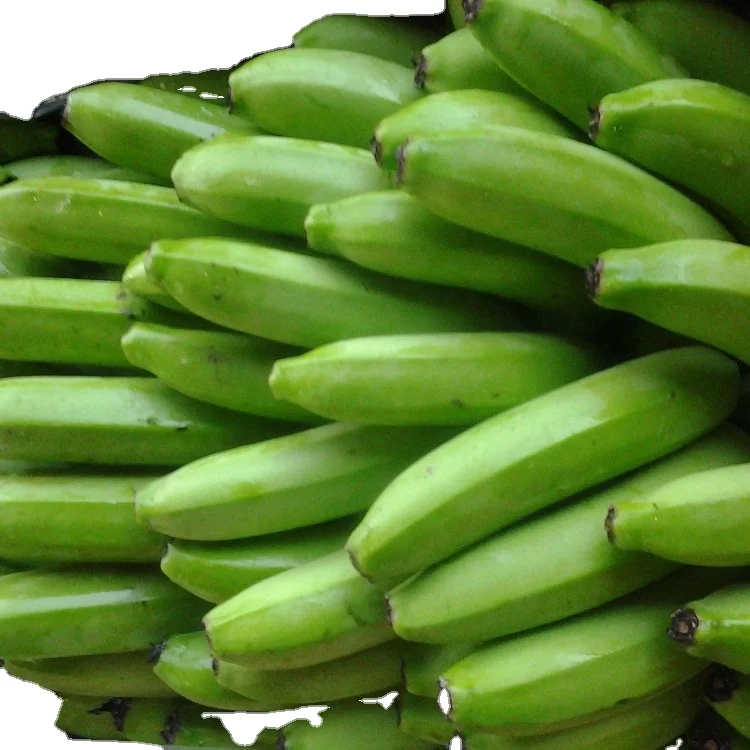 THE PREMIUM FRESH CAVENDISH BANANA