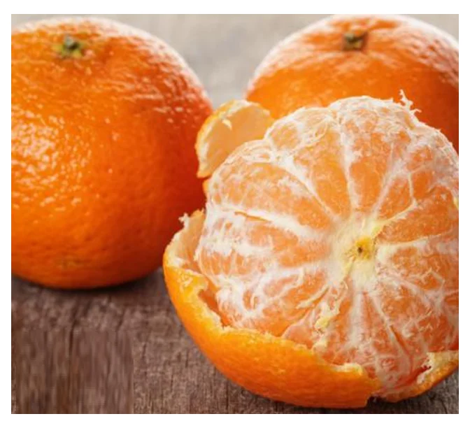 Whole sale  Best Fresh Mandarin Orange With Top High Quality