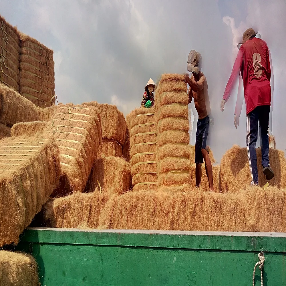 Viet Nam Supplier 100% Natural Coconut Fiber for mattress production Premium quality Brownish yellow