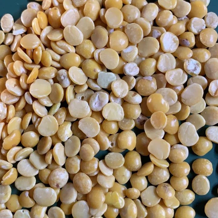 Excellent Quality Pigeon Peas Split Yellow Chickpeas Machine Sorted Protein Rich Toor Dal from Indian Manufacturer