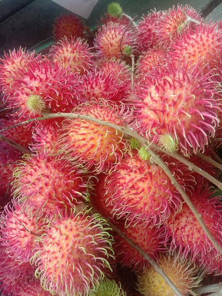 Hot Selling In 2021 Rambutan 100% Fresh Fruit Best Price Wholesale Cheap Price