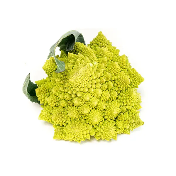 IQF frozen romanesco