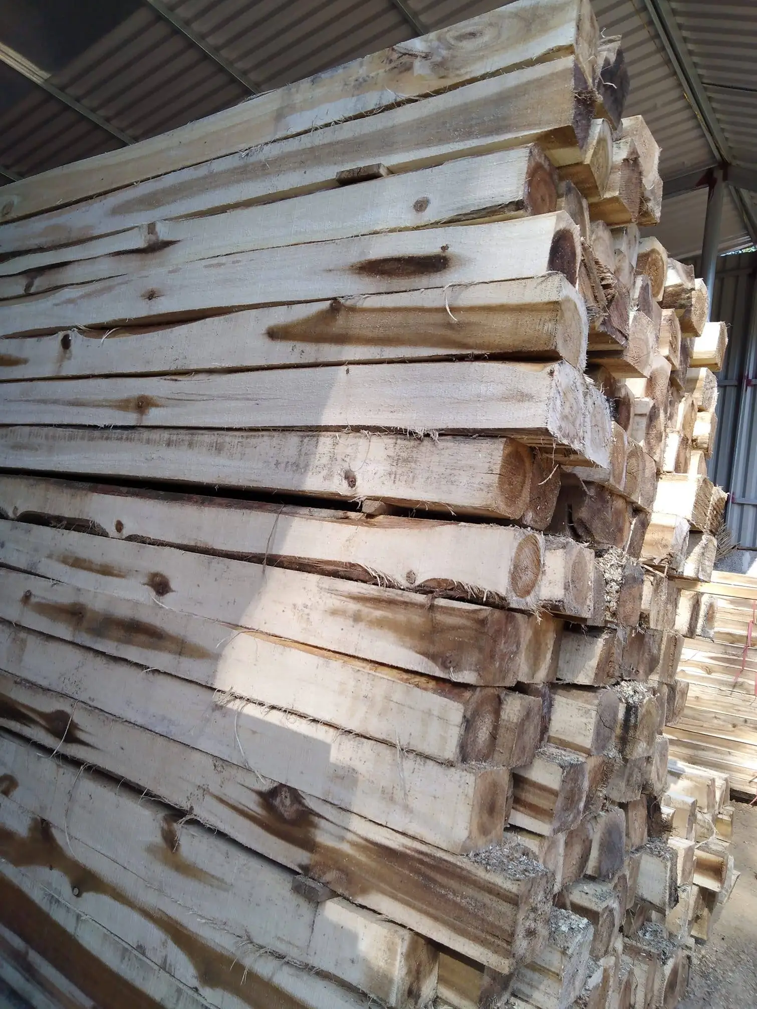 High Quality Round White and Yellow Color Timber wood Logs With Length Max 1.5m Diameter 40cm From Vietnam