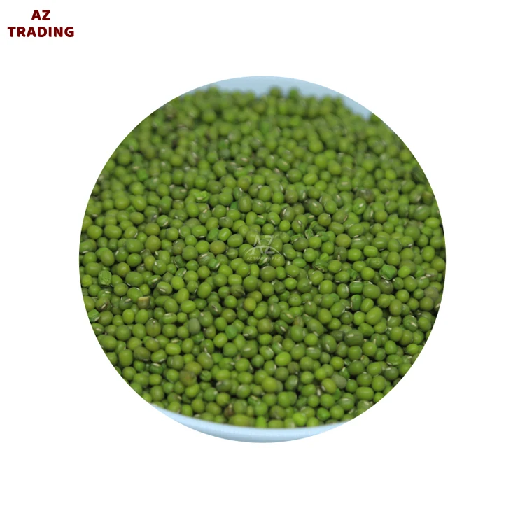 Premium Quality Wholesale Supply Best Selling Natural Fresh Ethiopian Green Mug Beans at Best Price