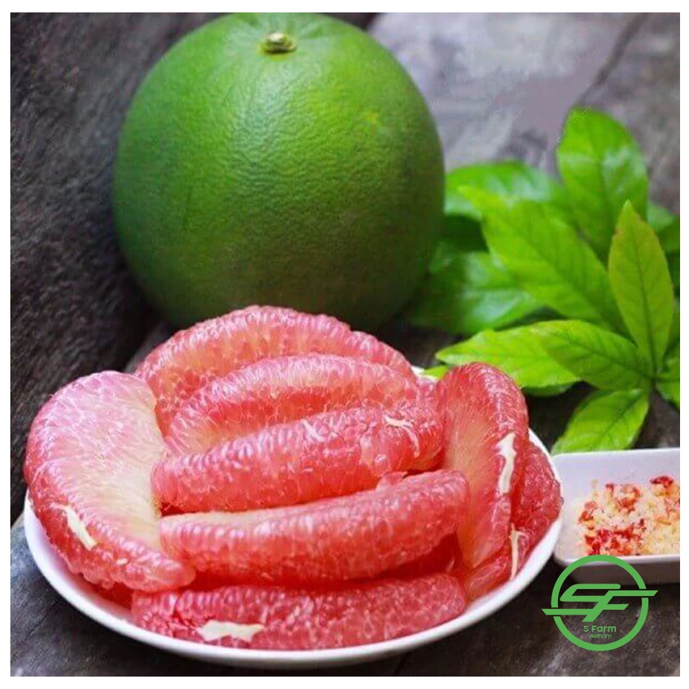 Grapefruit Best Quality Fresh Fruit Pomelo Fresh Fruit Grapefruit Vietnam Healthy Nutritious Fresh Sweet Freshly Picked Pomelo