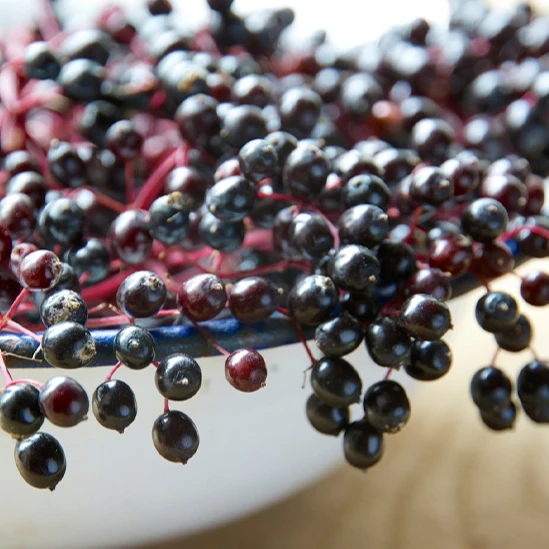 Customized food supplement for the immune system