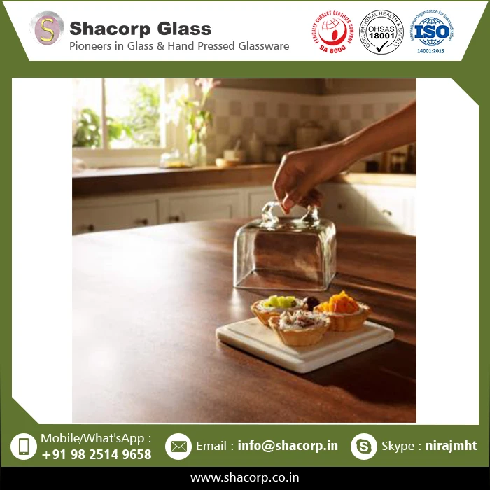 Glass Cloche Bell Jar Large Glass Dome Jar Display Glass Dome Cloche For Home Decoration At Low Price