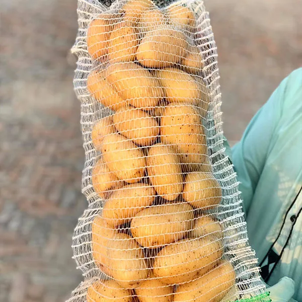 Пакистанский свежий картофель класса А