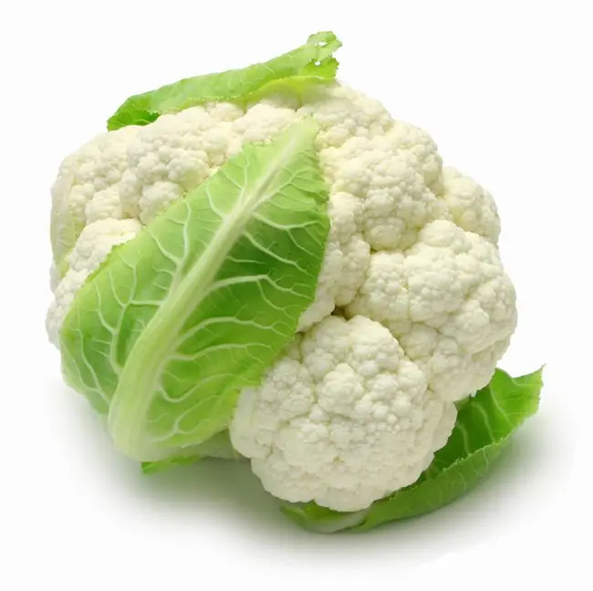Export Organic Certificate Bulk Cauliflower