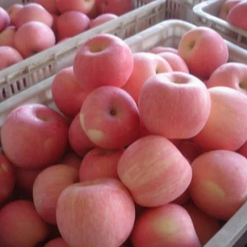 Свежие зеленые яблоки Granny Smith/свежие красные Fuji/Королевский торжество/красные вкусные