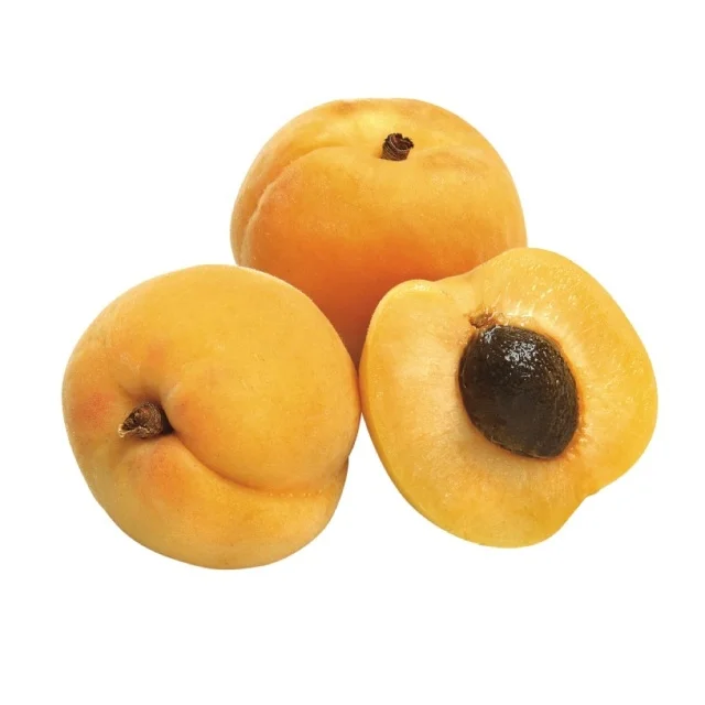Fresh Apricots For Sale , Export Quality