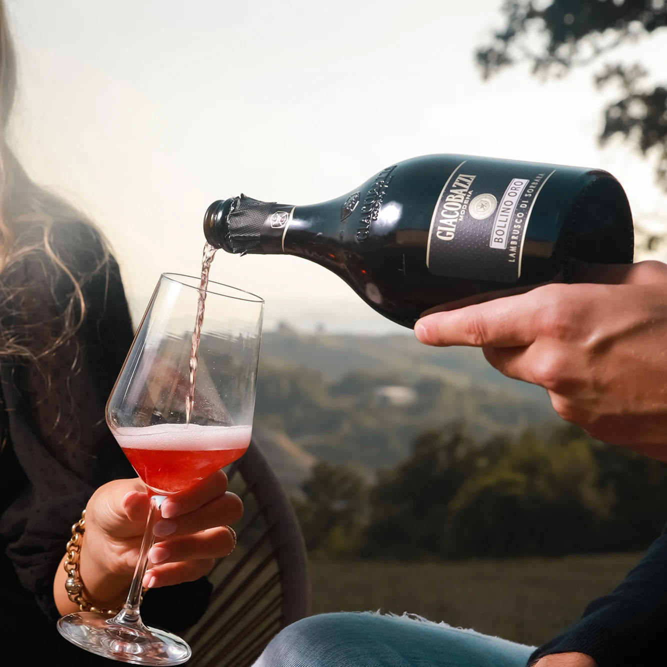 Famous Special Italian Red wine Bollino Oro Lambrusco selected grapes 750ml for export