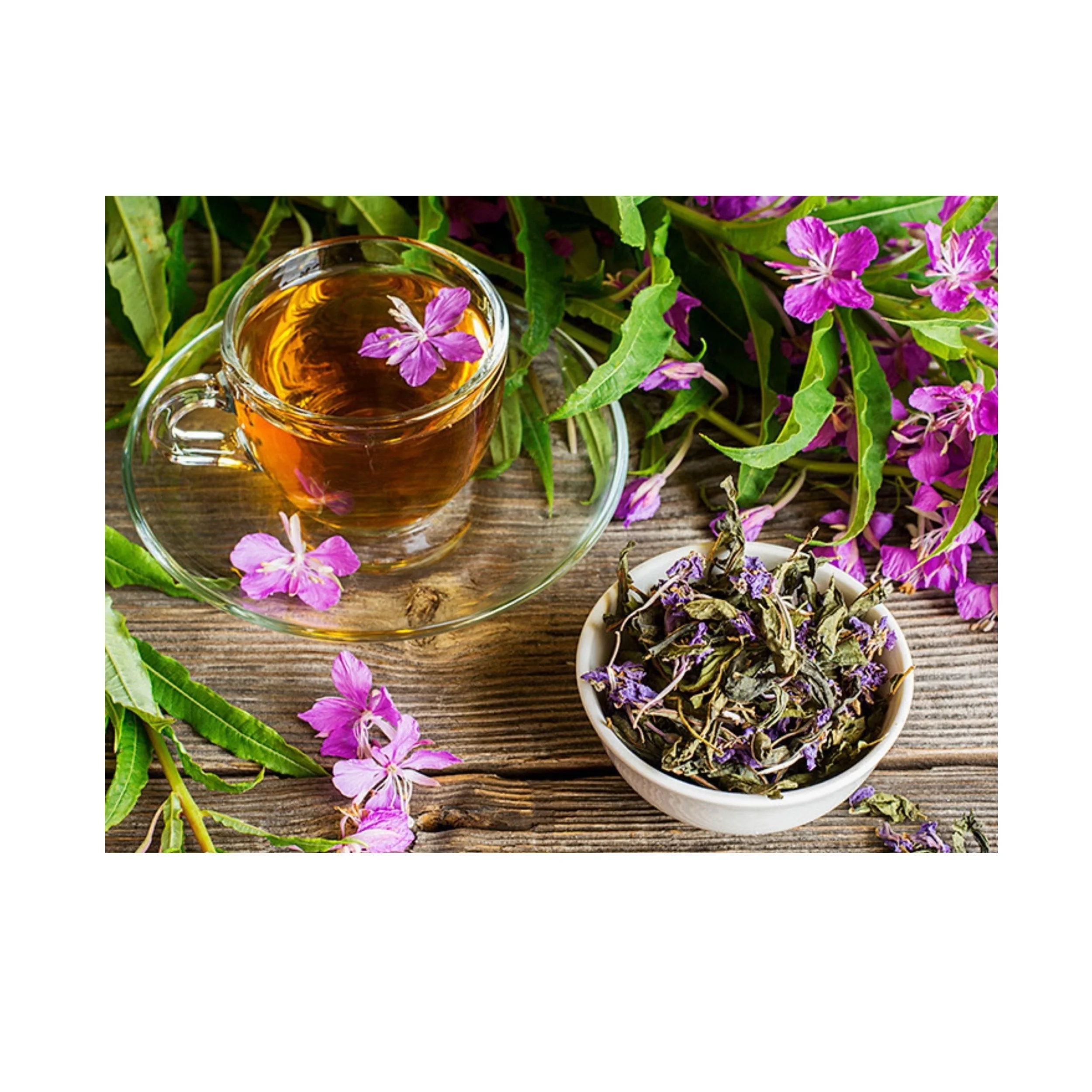 Willowherb Russian Tea Ivan Chai