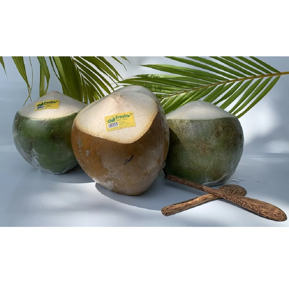 Top Grade Quality Whole Green Young Semi-Husked Hat Cut Shape From Vietnam Manufacturer Fresh Coconut