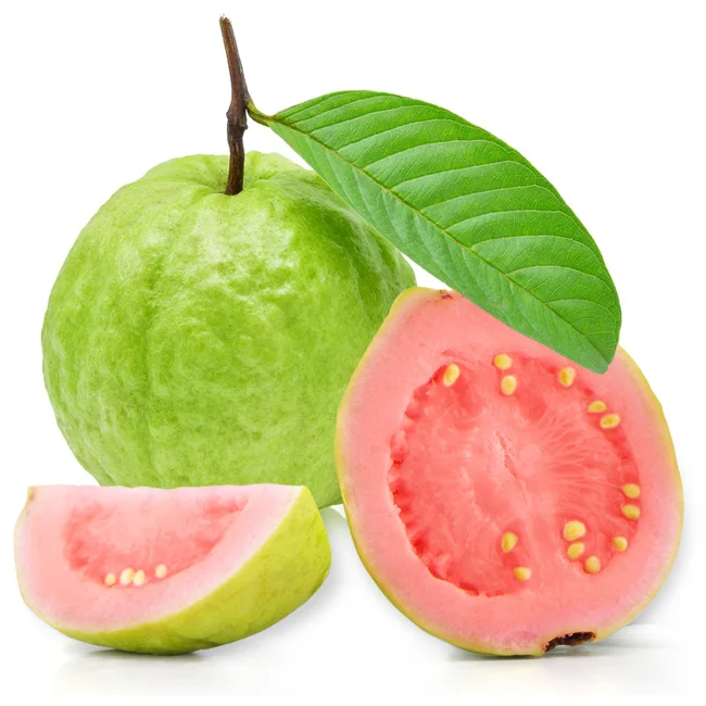 Королевская гуава Оптом Зеленая очень высокое качество