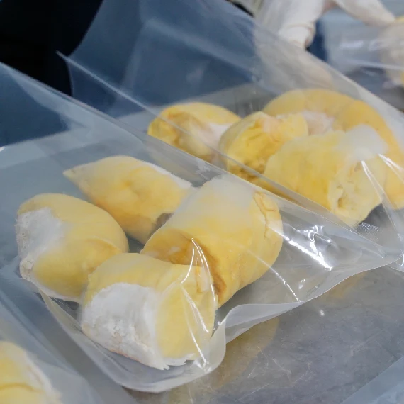 FROZEN DURIAN MEAT WITH BULK QUANTITY