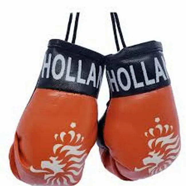 Latest design with Customized Logo Print Mini Boxing Gloves Keychain  OR Car mirror hang Made in Leather