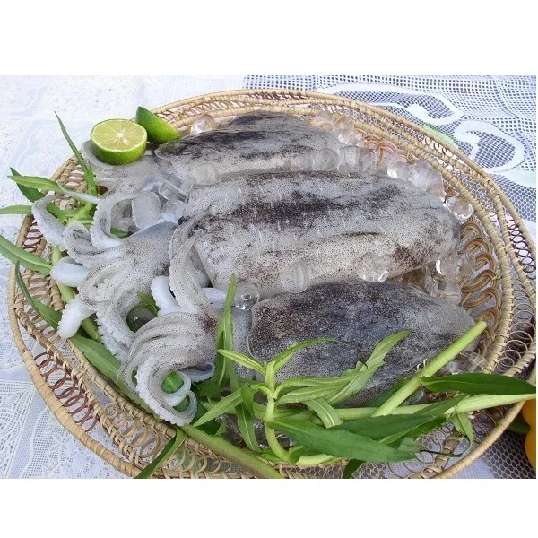 Wholesale Fresh Natural Frozen Seafood Food Nutritious Organic Big and White Cuttlefish From Private Label In Vietnam