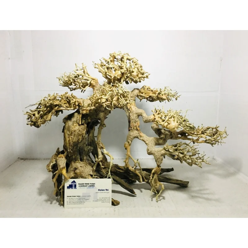 2024 Good Quality Bonsai Driftwood for Aquarium Decoration WhatsApp: +84 961005832