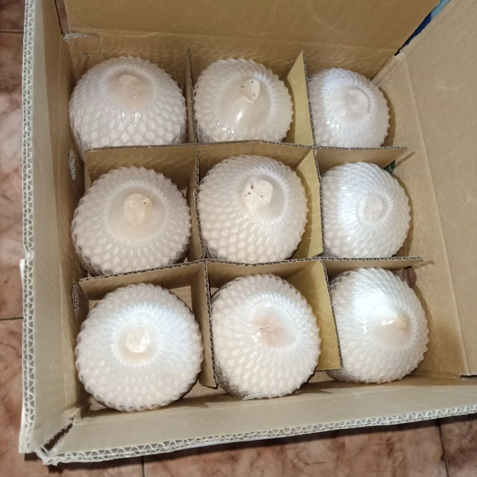 100% Natural Wholesale Coconut / Fresh Matured Coconut whatsapp +84 966208131