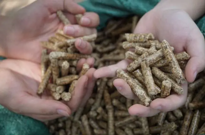 100% чистая кукурузная Кукуруза для корма крупного рогатого скота с высоким качеством/Лучшая цена, кукурузная кукуруза, порошок для животных/Shyn Tran + 84382089109