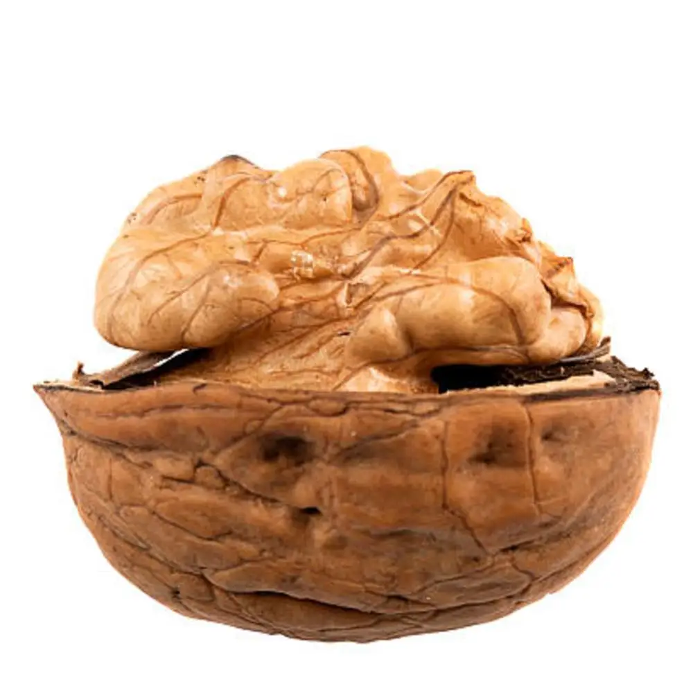 
Ukraine Fresh Whole Nuts Raw Halves Kernels Fruit Walnut 
