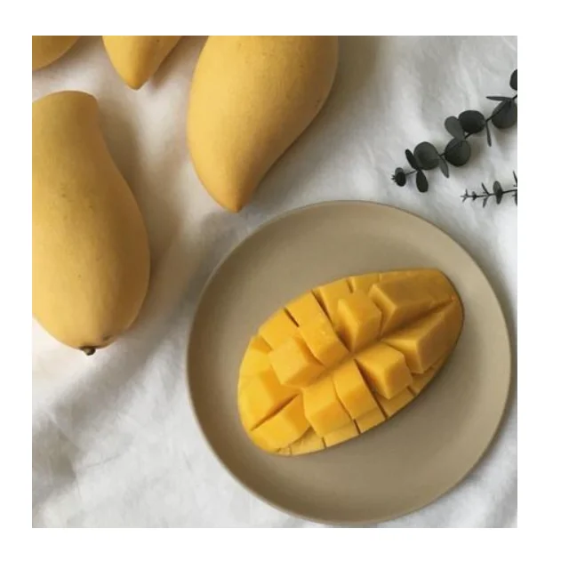 
Sweet And Delicious Premium Quality Pakistani Mango Export In Bulk 