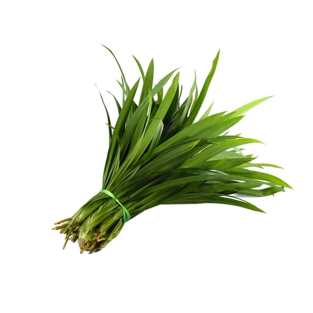 Pandan Leaf Herbal Supplements Herbal Extract for Health