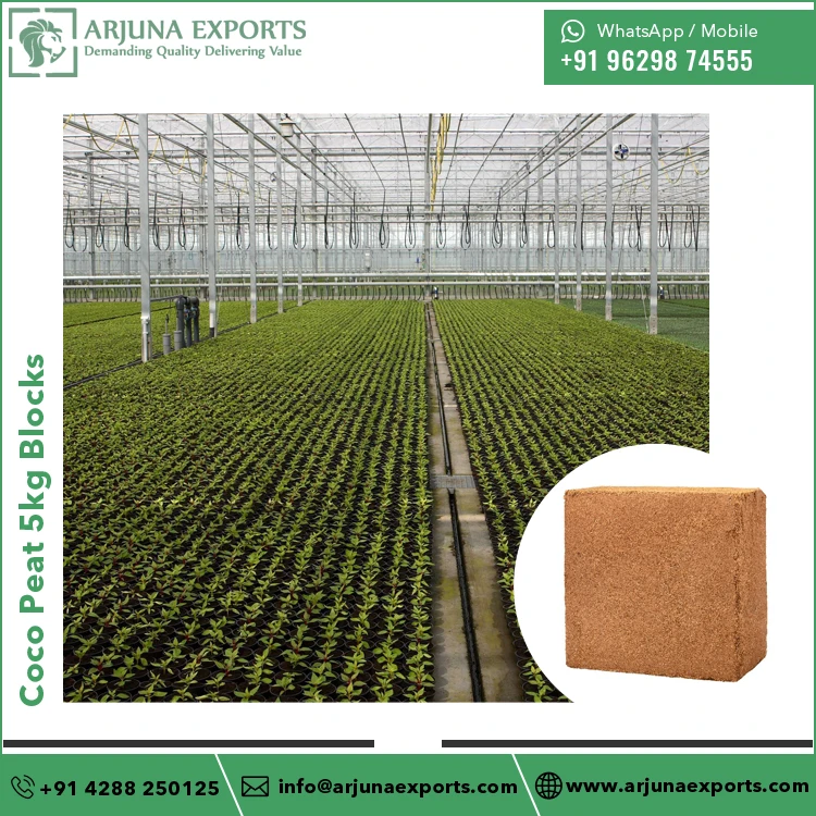 Экспортер сельскохозяйственных блоков 100% натуральный кокосовый торф Кокосовая Пия 5 кг для применения в