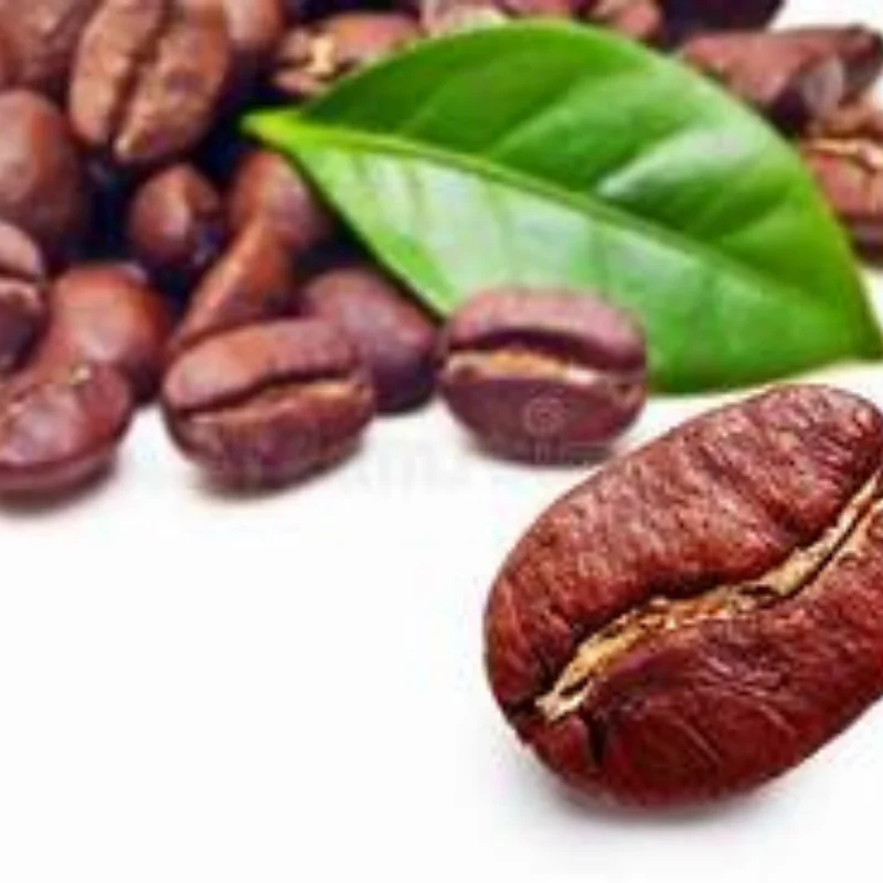 Arabica coffee with delicious taste is a high quality coffee grown in many parts of the world and Vietnam is one of them