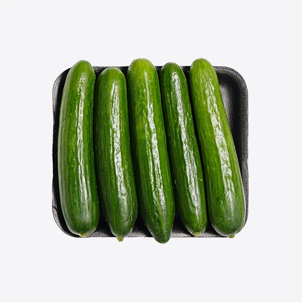 
Fresh Vegetables Green Cucumber from Vietnam ready for export  (1600201809697)