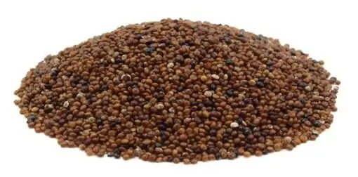 Kaniwa Grains, Canuhua seeds in bulk and premium quality Peru