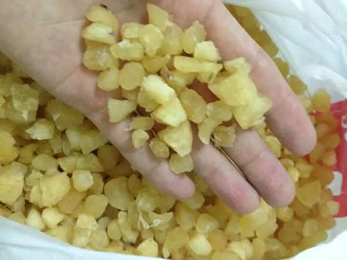 Natural Scallop meat Without Shells Dried Scallop For Cooking Soup