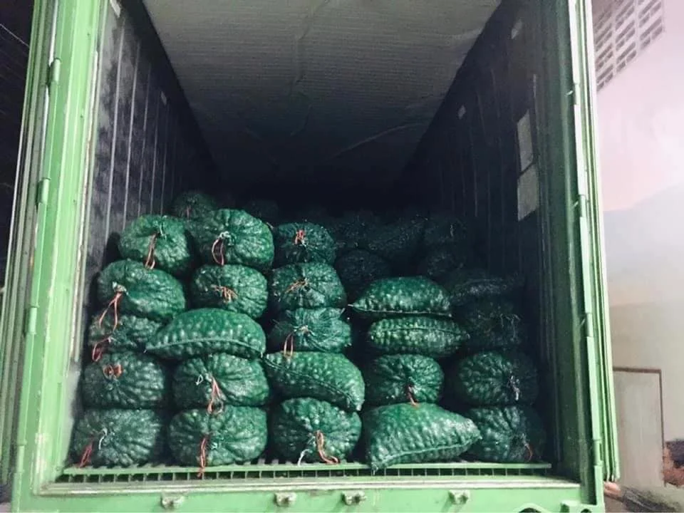  Dried Betel nut Sliced Areca split nuts for