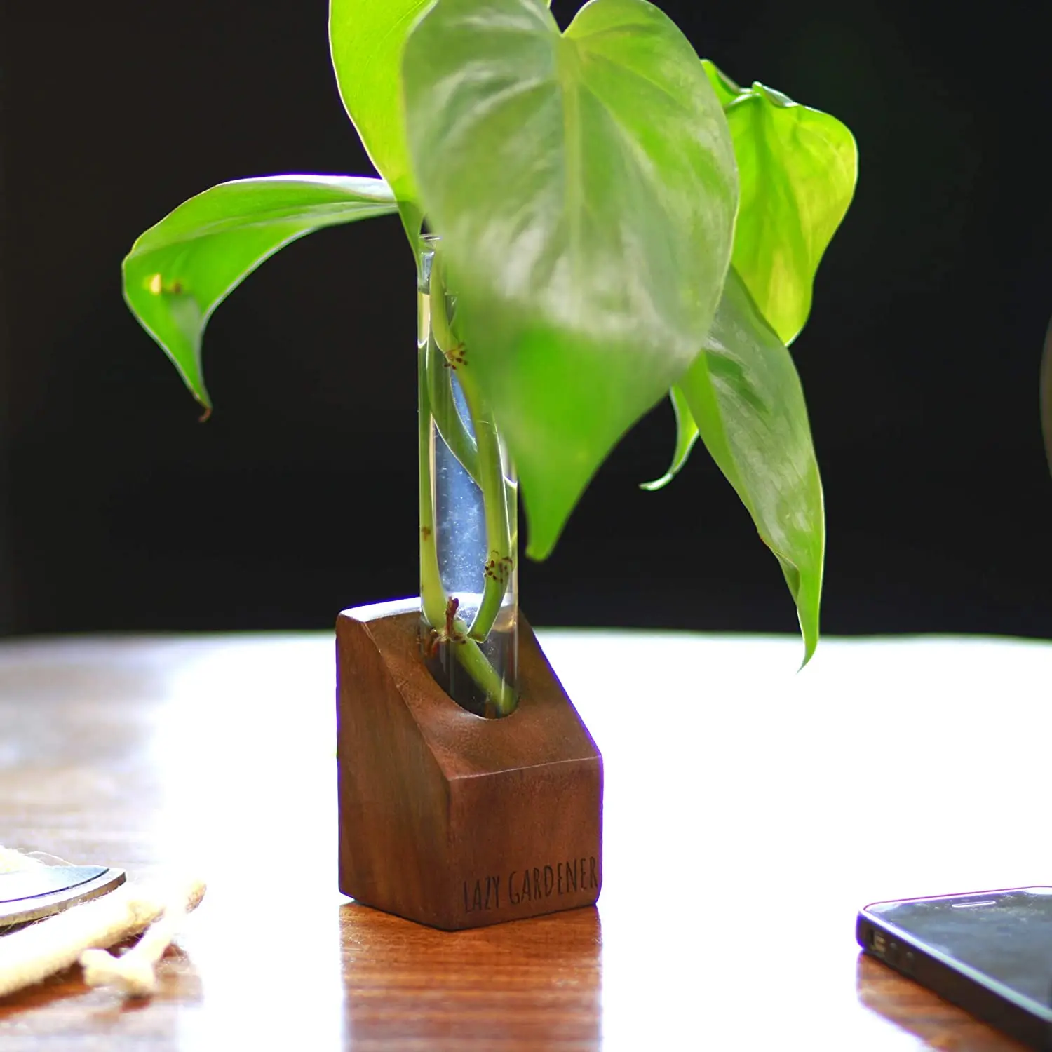  Ленивый садовый стеклянный столешница с деревянной подставкой | Гидропонный плантатор для домашнего декора