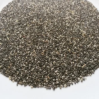 
Chia Seeds in bulk for sale 