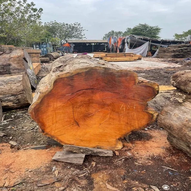 Chenchen Wood (Antiaris Africana) Square And Round Logs