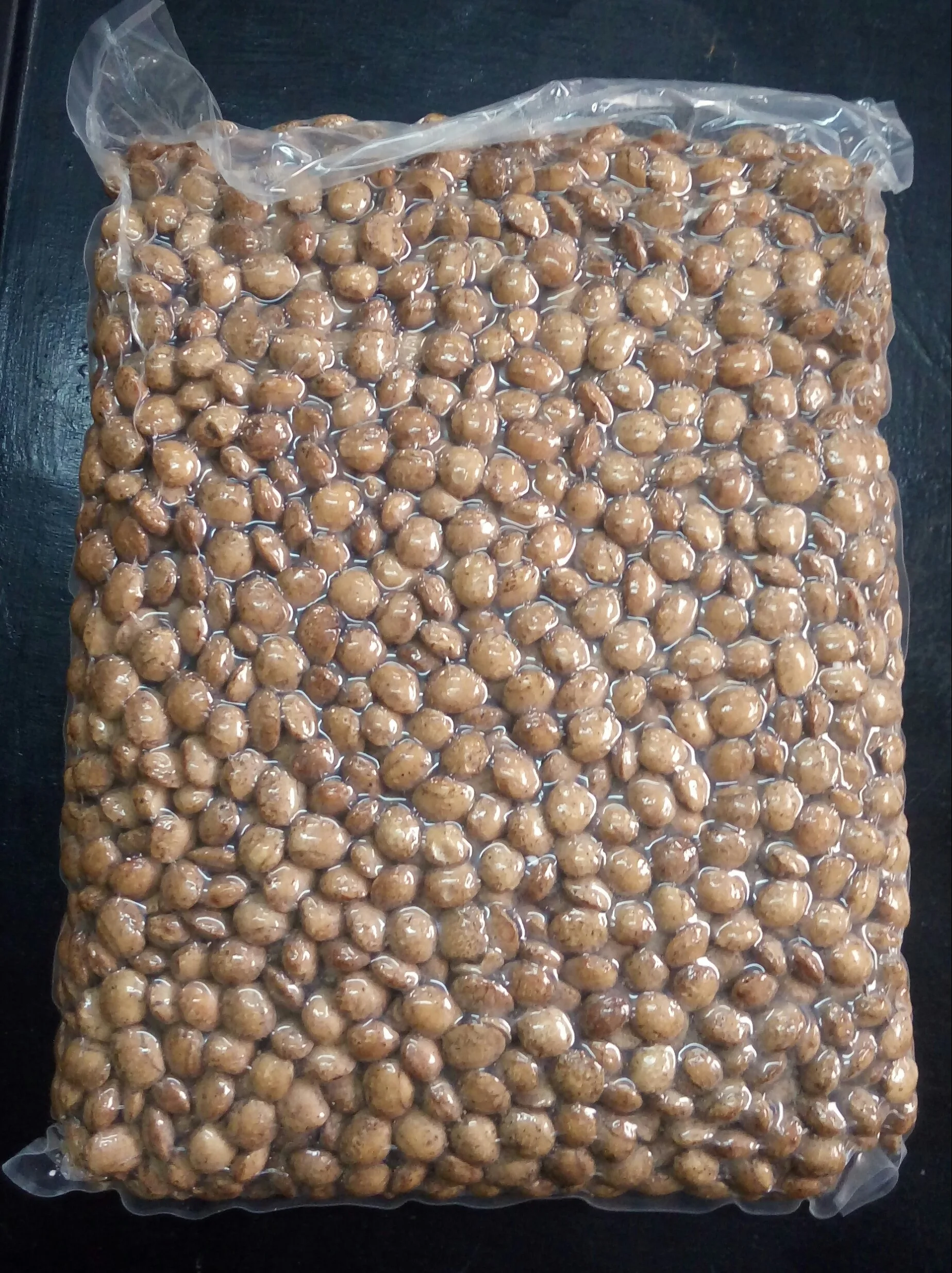 Roasted SACHA INCHI NUT / Toasted Sacha inchi nut Peru