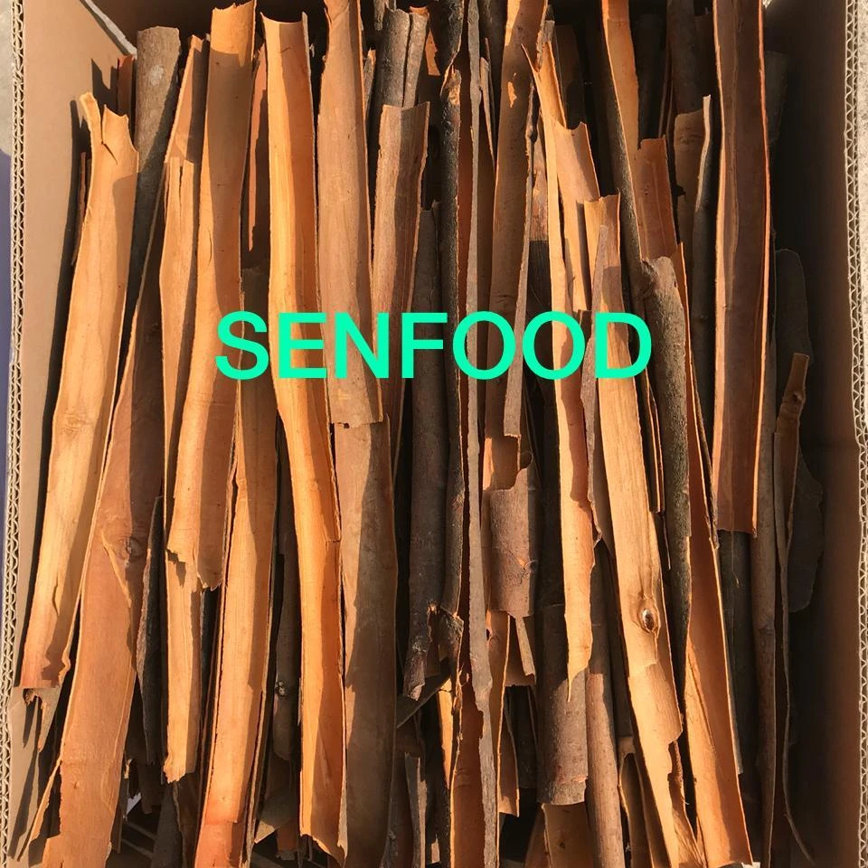 Новый Урожай натурального цвета раздельная Кассия хорошего качества из Вьетнама осень 2021