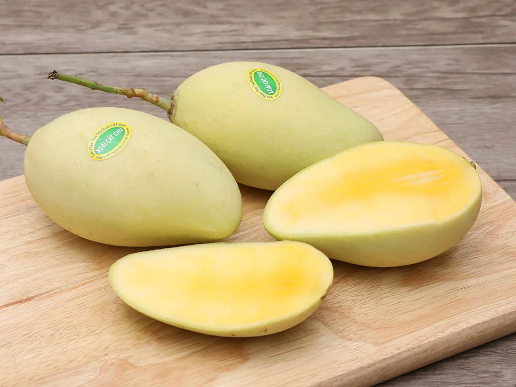 Fresh Mango Vietnam Mango EU Quality Mangos with High Quality Low MOQ
