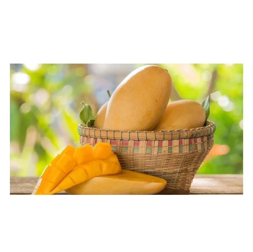 Best Seller Of Fresh Mangoes At Low Prices