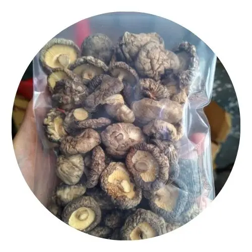 Shiitake гриб/экспорт сушеных гриб оптом/Вьетнам Экспортер Ms. Люси + 84 929 397